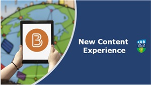 Brightspace new content experience logo